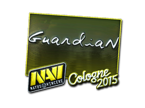 GuardiaN (Foil) | Boston 2018 image